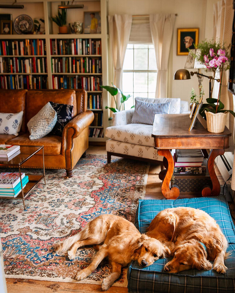 Фото: @sarahkjp