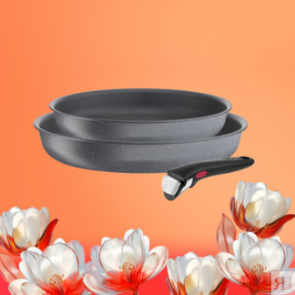 Набор посуды Ingenio Natural Force 3 предмета 22/26 см L3969202 Tefal